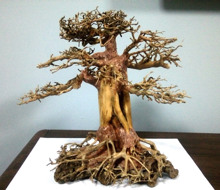 Bonsai Tree A