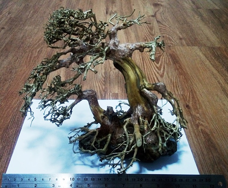 Bonsai Tree C