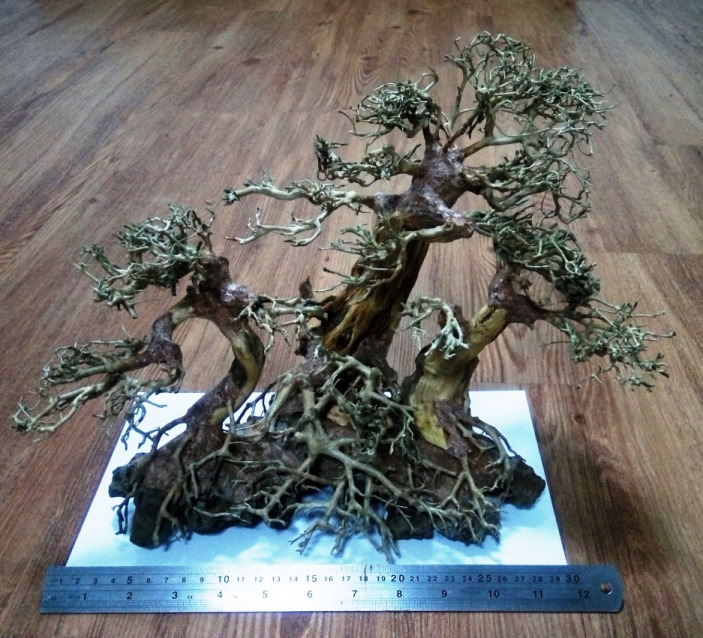 Bonsai Tree D