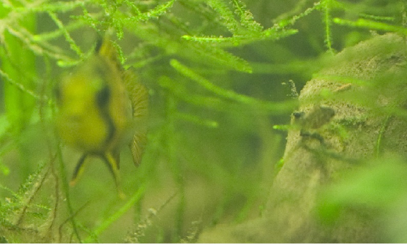 mom and baby