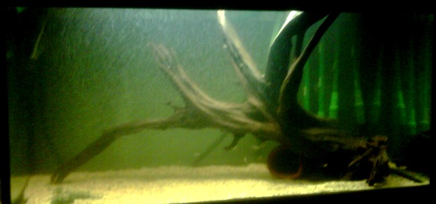 L25 Tank