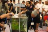 Amano Seminar during Aquafair 2010