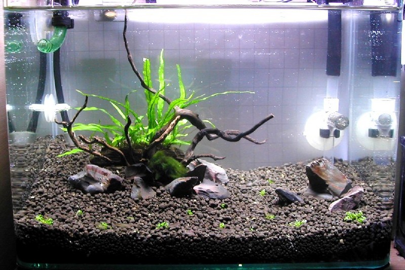 Nano tank set