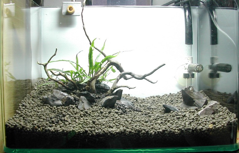 Nano tank set