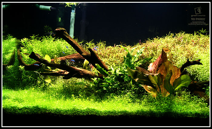 Green Chapter tank at Science Centre