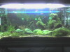 MyTank