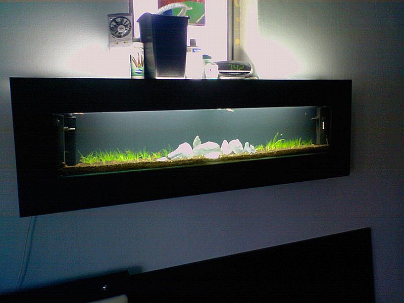 4 ft slim tank update