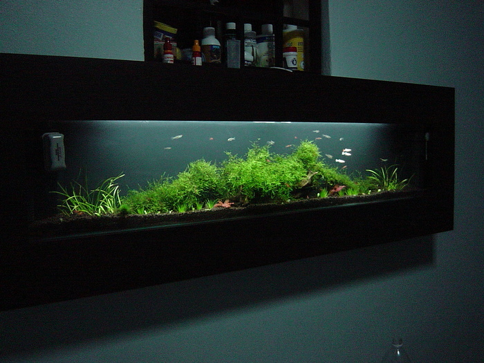 Wall mounted tank