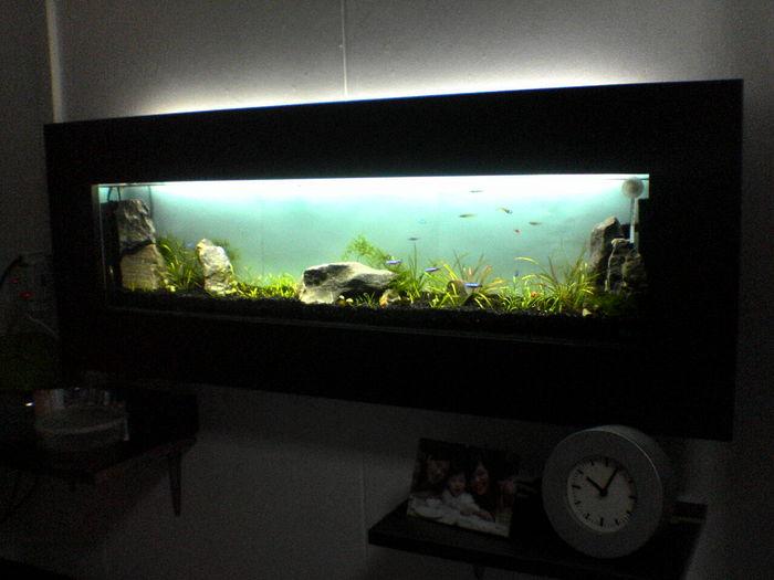 Slim wall mounted tanks