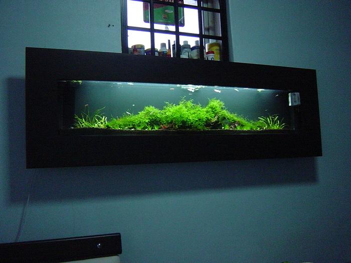 Slim wall mounted tanks