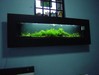 Slim wall mounted tanks