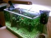 Small Tank