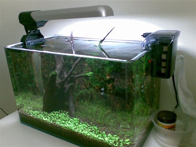 Small Tank