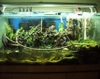 422 Vivarium Pics