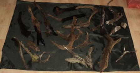 Drift Wood For Sale