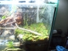 422 Vivarium Pics