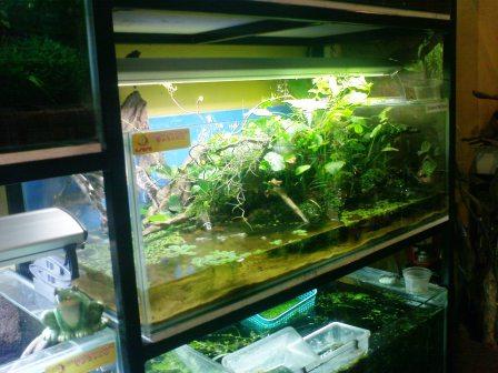 Vivarium