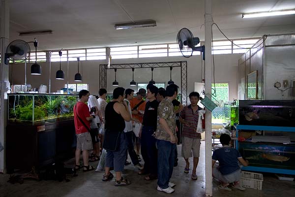 AQ @ Teo Aquatic Plant farm