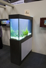 aquatic_tank_display01