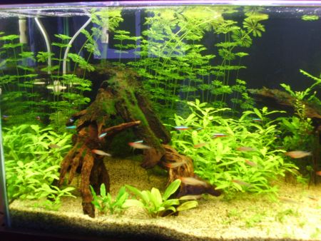 Left side of Tank (1st March)