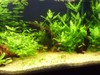 Right side of Tank (1st March)