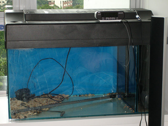 Maia's Tank pictures